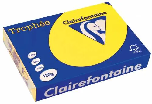 Trophee Karton 120GR Yellow Intensive 1292