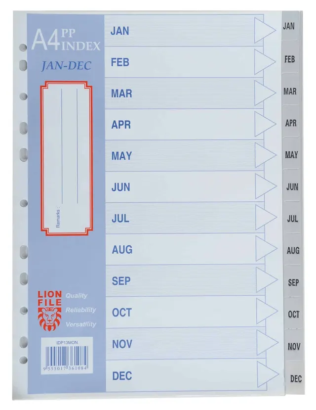 Lion PVC Divider Jan-Dec IDP13MON
