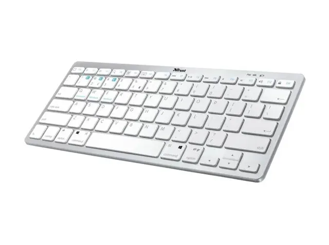 Trust Ultra Thin Bluetooth Keyboard Us Silver 24651