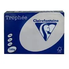 Trophee Karton 160GR Grey Steel N.1009