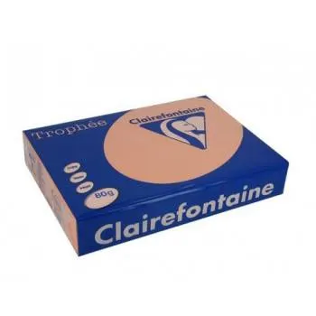 Trophee Karton 160GR Peach 1049