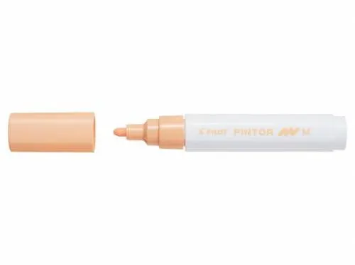 Pilot Pintor Paint Marker M Pale Orange