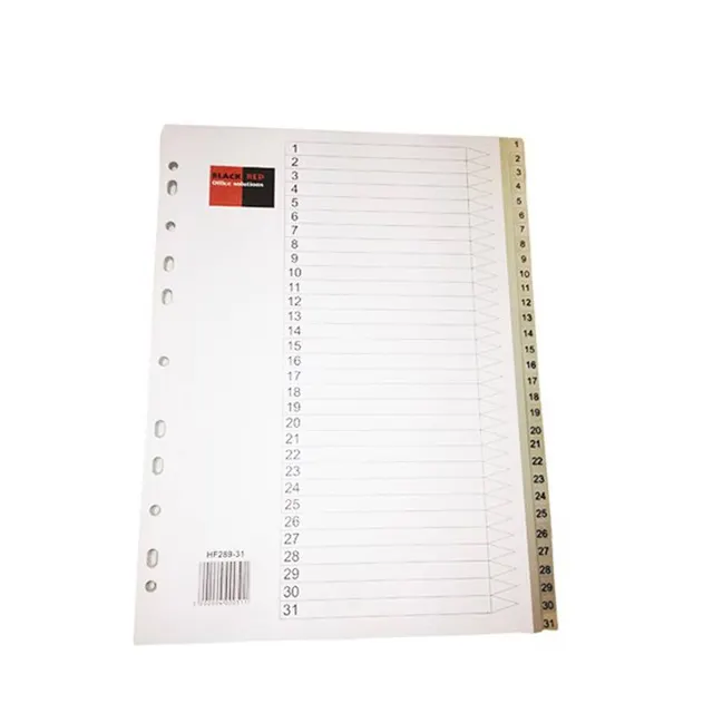 B/R PVC Divider A4 1-31 BR00051
