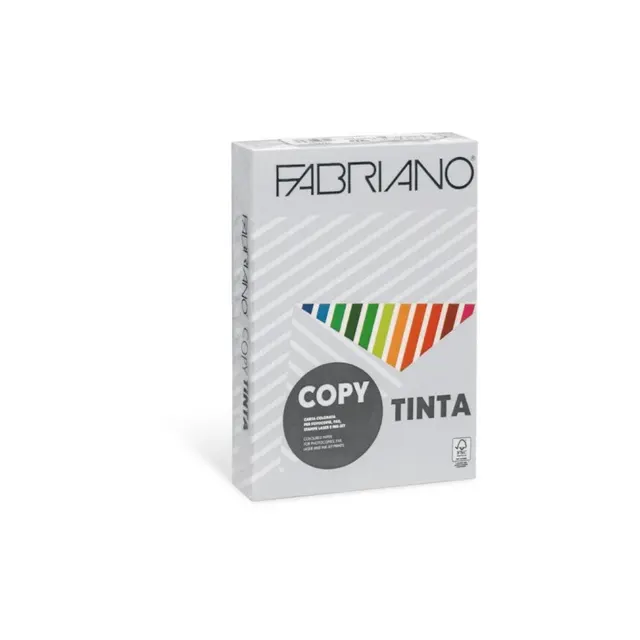 Fabriano Carton A4 160GR Grey