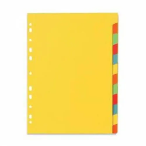 Lion Karton Divider 12-TABS