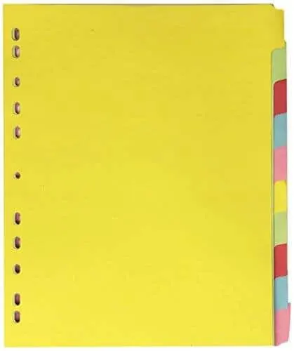 Lion Karton Divider 10-TABS