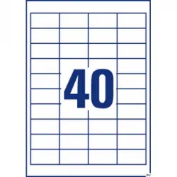 Tto White Economy Labels 52.5X29.7MM 052029