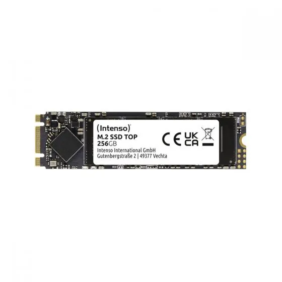 Intenso SSD Top 256GB M.2 Sata 6GB/S Internal 3832440