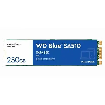 Western Digital SSD 250GB M2 Blue SA510