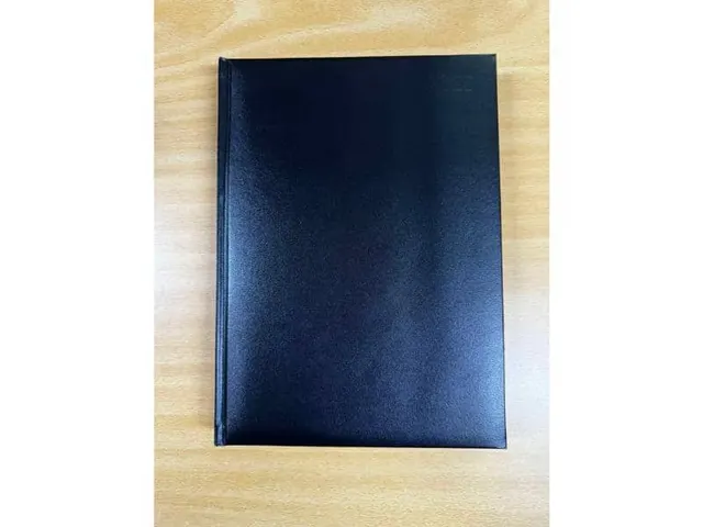 Diary 2027 A4 Daily